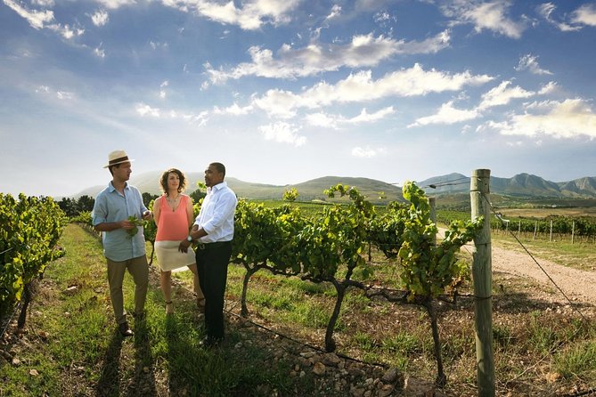 Stellenbosch Wine Tour half day from Cape Town - Walking the heart of Stellenbosch’s Cape Dutch and Georgian vibe