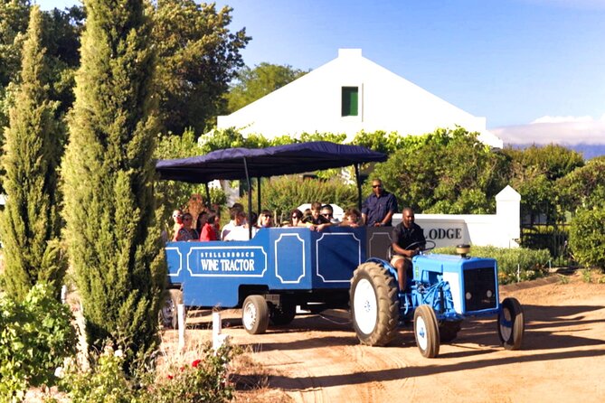 Stellenbosch Wine Tractor hop-on-hop off wine tasting tour - Stellenbosch Wine Tractor: the appeal of rolling through vineyards
