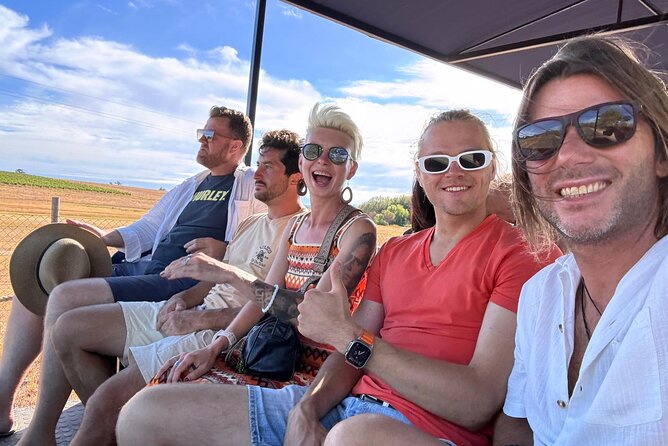 Stellenbosch Wine Tractor hop-on-hop off wine tasting tour - Group size, energy, and kids: what to expect on board