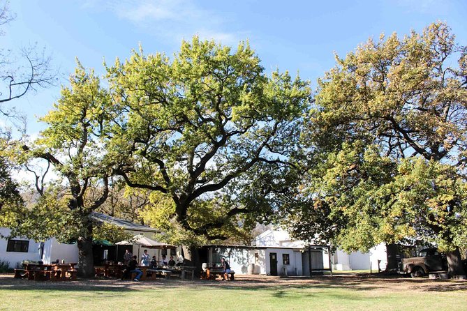 Stellenbosch Winelands Connoisseur Day Tour with Private Transfer - Stop 4, Rust en Vrede: Cape Dutch Architecture and a 321-Year-Old Red-Wine Tradition