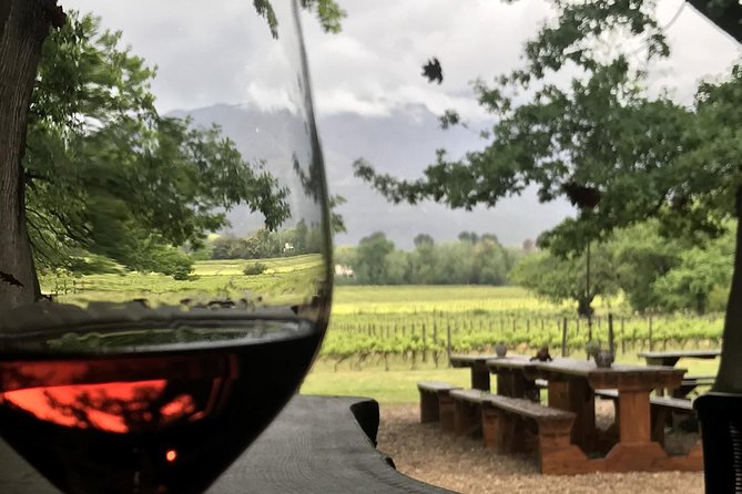 Stellenbosch Winelands Connoisseur Day Tour with Private Transfer - Stop 2, Eikehof: 1903 Family Winemaking Under Old Oaks
