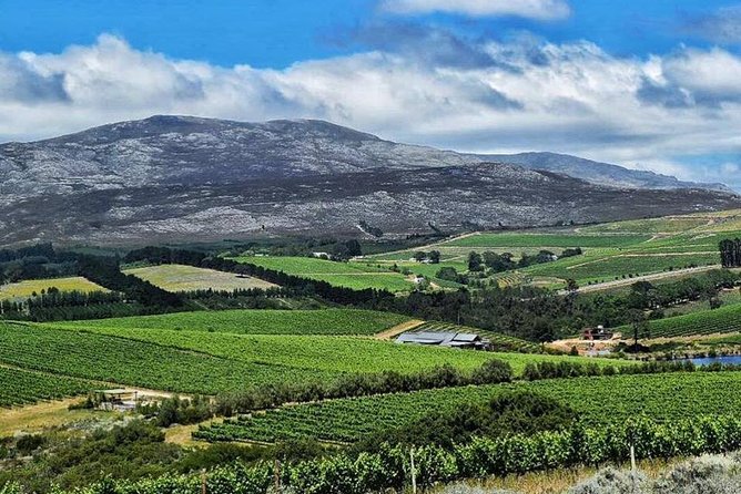 Stellenbosch Winelands Experience - Mitre’s Edge Wine Estate: a boutique finale in a manor house or underground cellar