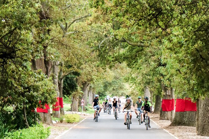 Stellenbosch Winelands Luxury EBike Tour © - Neethlingshof Estate: Cape Dutch Werf Vibes and Stone Pine Drama