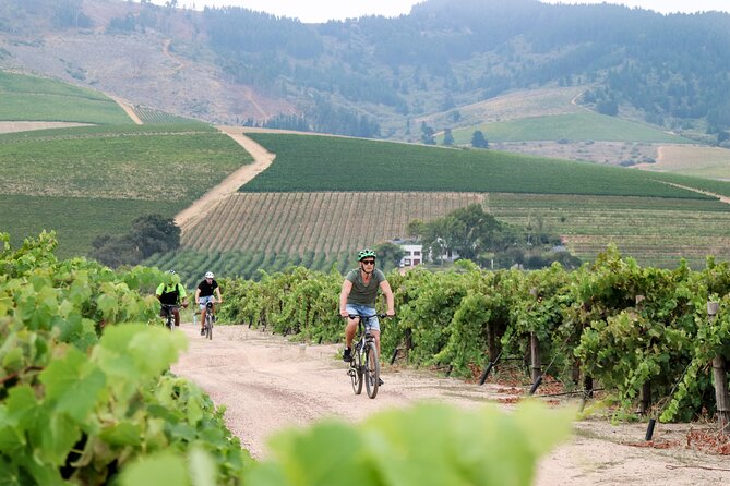 Stellenbosch Winelands Luxury EBike Tour © - Boschkloof Wines and De Waal: Family Wineries With Different Personalities