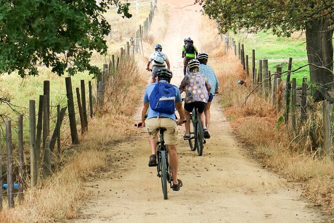 Stellenbosch Winelands Luxury EBike Tour © - Pacing, Snacks, and What to Wear for a Smooth Day