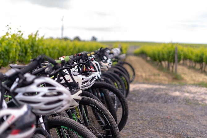 Stellenbosch Winelands Luxury EBike Tour © - Who Should Book This E-Bike Wine Tour (and Who Should Skip It)