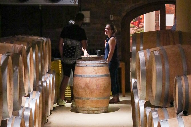 Stellenbosch Winelands Luxury EBike Tour © - Start at Skilpadvlei: The Tortoise Legend Sets the Tone