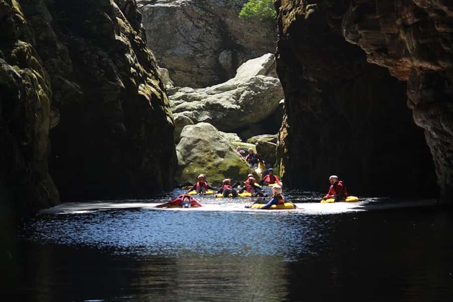 Storms River: Tsitsikamma National Park Blackwater Tubing - Key highlights that make this tubing day worth it
