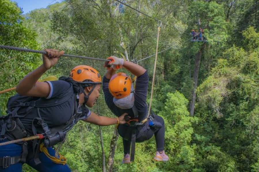 Storms River: Tsitsikamma National Park Zipline Canopy Tour - Safety First, Fear Included: What the Guides Really Do