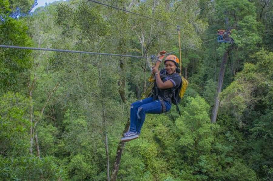 Storms River: Tsitsikamma National Park Zipline Canopy Tour - Who This Tour Fits Best in the Eastern Cape