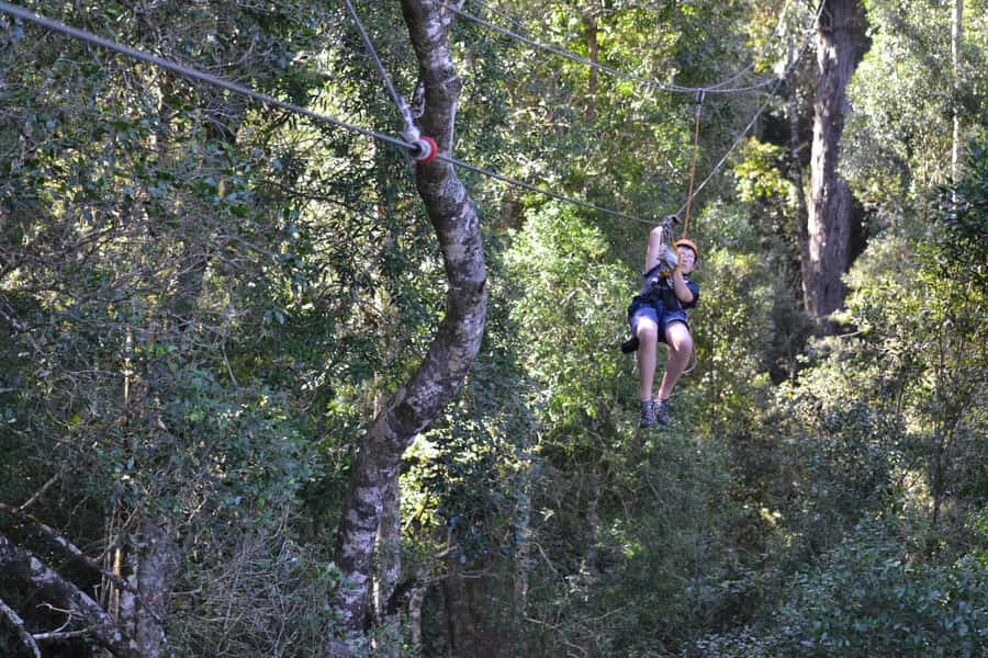 Storms River: Tsitsikamma National Park Zipline Canopy Tour - Should You Book This Storms River Canopy Tour?