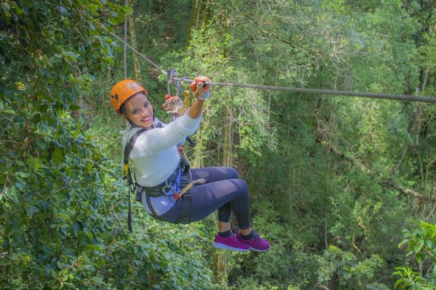 Storms River: Tsitsikamma National Park Zipline Canopy Tour - From Harness Up to Platform Step-Off: The 150-Minute Flow