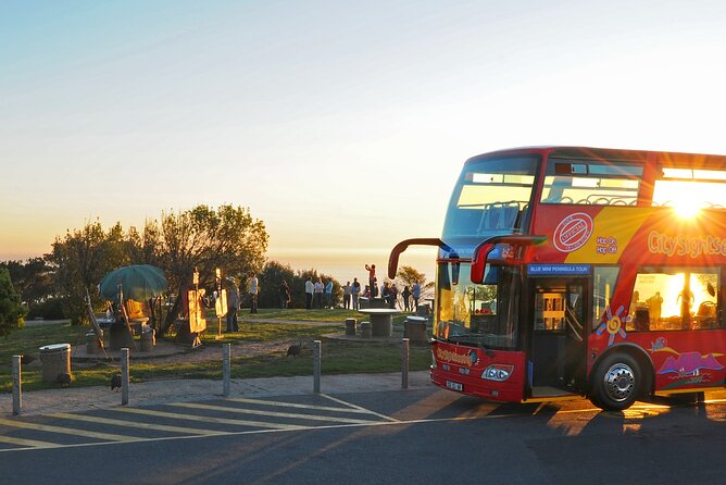 Summer Sunset Bus Tour in Cape Town - Why This Sunset Bus Route Works So Well in Cape Town