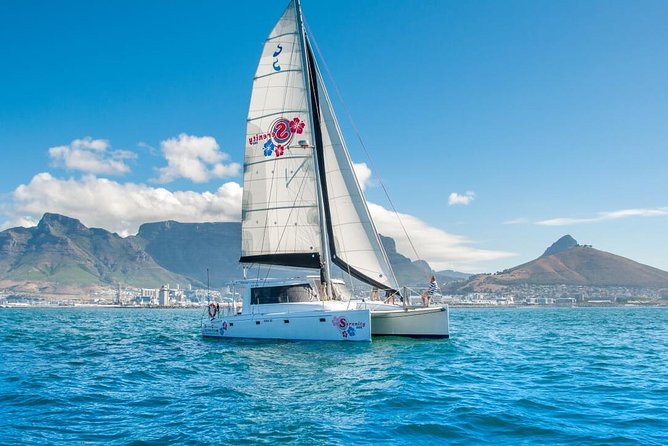 Sunset Champagne Cruise from Cape Town - The 90-Minute Itinerary: What Happens on the Water