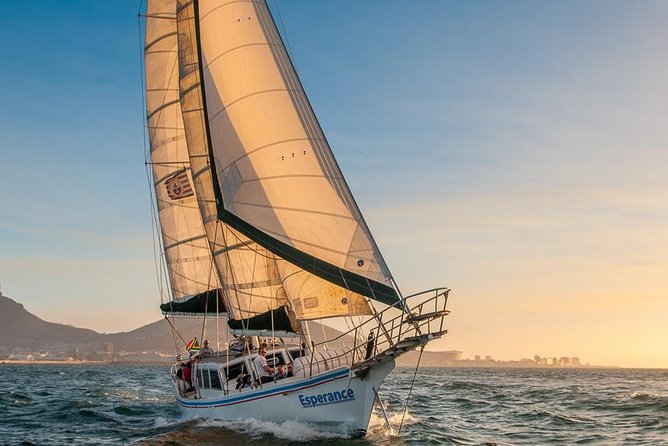 Sunset Champagne Cruise from Cape Town - The Sunset View: Table Mountain in Golden Hour Focus
