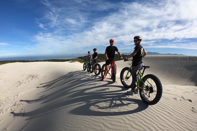 Sunset Fatbike Dune Experience - Animal tracks and whale season: seeing the dunes as living habitat