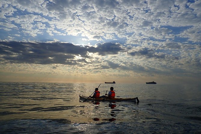 Sunset Session - Wildlife time: how to make dolphin sightings more likely