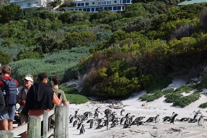 Supersaver: Cape of Good Hope and Cape Point Day Tour from Cape Town - Chapman’s Peak Drive Viewpoints: Why This Coastal Road Is Famous