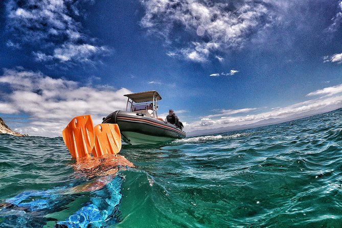 Swim with Seals - The Robberg Seal Colony Setup That Feels Actually Natural