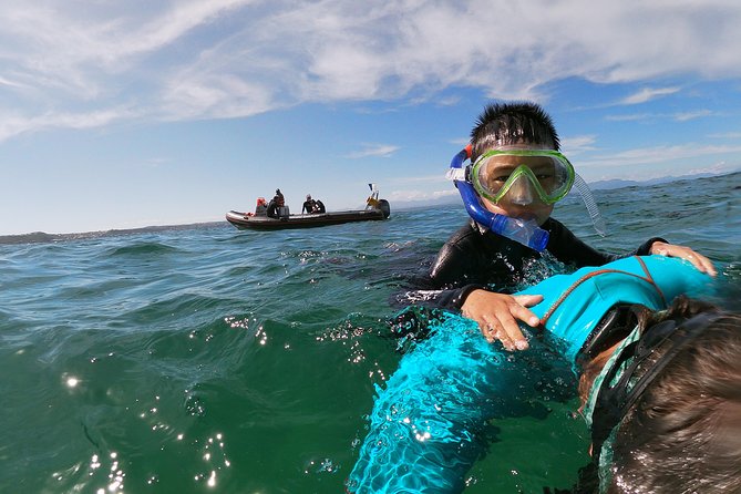 Swim with Seals - What Makes the Water-Friendly Approach Work for Beginners