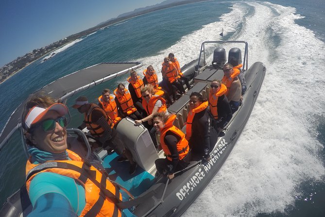 Swim with Seals - Offshore Adventures: The Speedboat Launch and Boat Ride That Sets the Tone