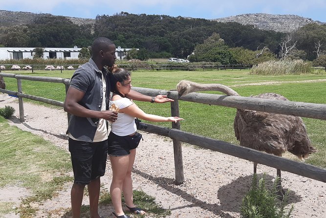 Table Mountain and Cape of Goodhope - Should you book this Table Mountain and Cape of Good Hope tour?