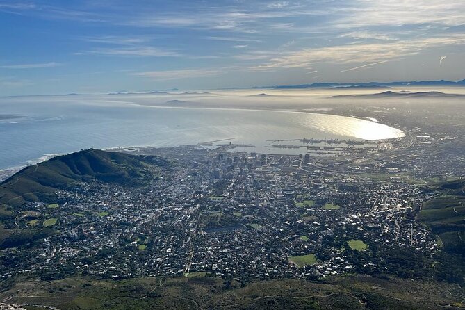 Table Mountain and Penguins Half Day Shared Group Tour - Morning Pickup and the Shared-Group Pace