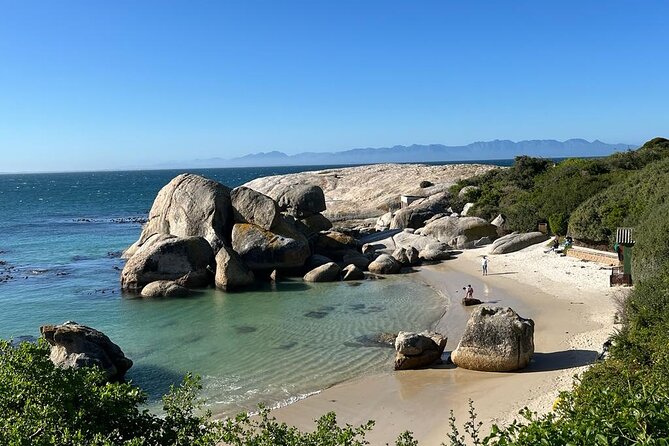 Table Mountain and Penguins Half Day Shared Group Tour - Muizenberg Beach Huts: A Low-Stress Finale
