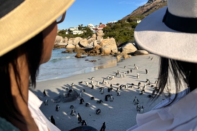 Table Mountain and Penguins Private Half Day Tour - A Fast, Scenic Route Through Cape Town’s Big Hits