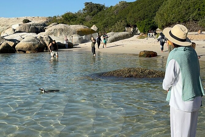 Table Mountain and Penguins Private Half Day Tour - Table Mountain Cable Car: Weather Rules Your Day