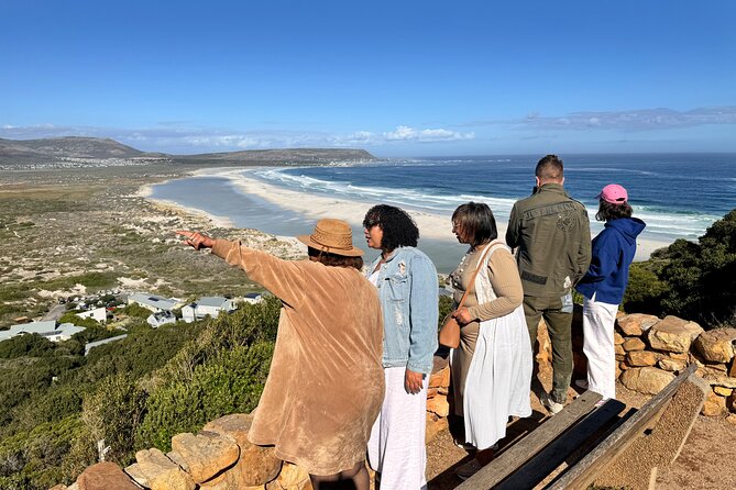 Table Mountain and Penguins Private Half Day Tour - Boulders Beach Penguin Colony and the Boardwalk Experience
