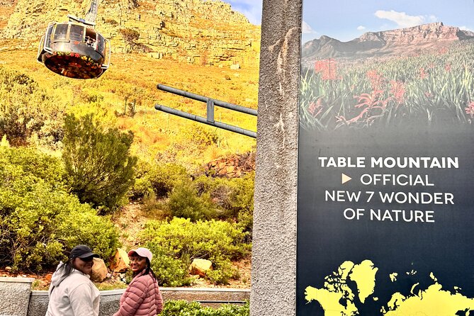 Table Mountain and Penguins Private Half Day Tour - Pickup, Timing, and What the 5 Hours Really Feels Like