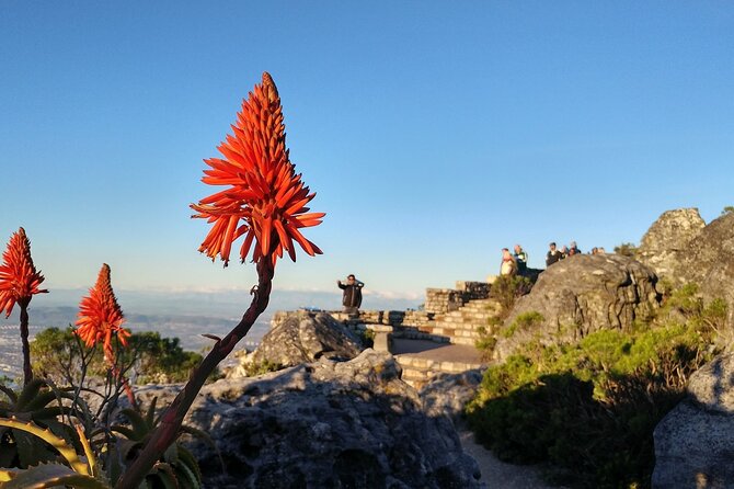 Table Mountain Boulder's Beach and Cape Point Tour - The Stellenbosch wine and cheese finale, what to expect