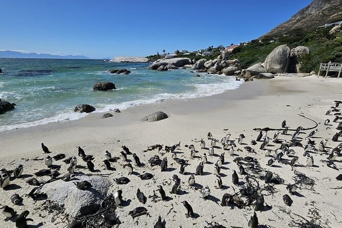 Table Mountain Boulder's Beach and Cape Point - Table Mountain Aerial Cableway: the time saver, plus what it costs
