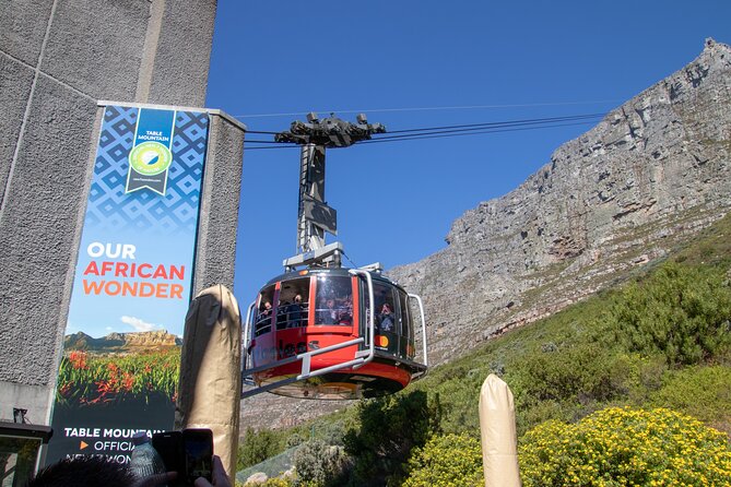 Table Mountain, Boulder's Penguins & Cape Point Private Tour from Cape Town - How the Private Car Changes the Whole Experience
