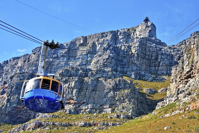 Table Mountain, Boulder's Penguins & Cape Point Private Tour from Cape Town - Table Mountain Aerial Cableway: The Big View, With One Clear Caveat