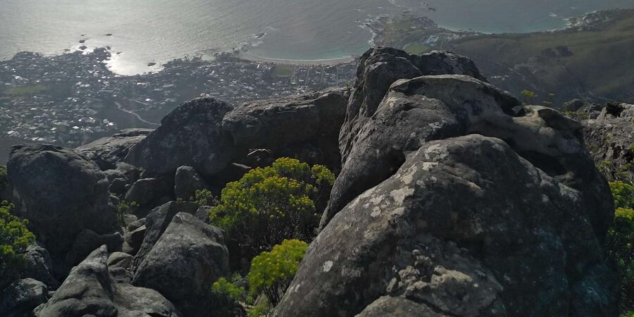 TABLE MOUNTAIN CABLE CAR EXPERIENCE WITH RESERVED TICKETS - The One Thing to Watch Closely: No-Show Risk