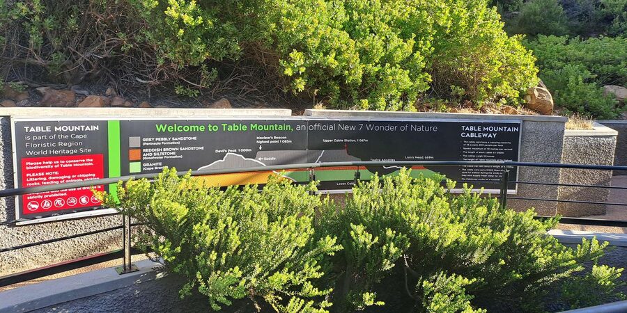 Table Mountain Cable Car Ticket with Transfer - On the Plateau at Upper Cable Station: 360 Views and Real Walking Options
