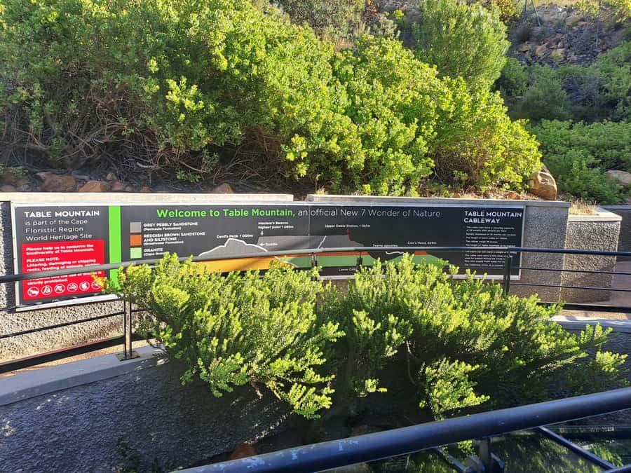 Table Mountain Cable Car Ticket with Transfer - Food and Souvenirs: How to Spend Summit Time Without Stress