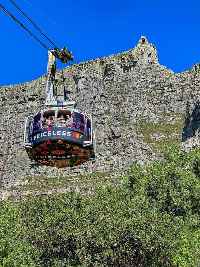 Table Mountain, Cape Of Good Hope, Penguins, Full Day Tour - Key points worth knowing before you go