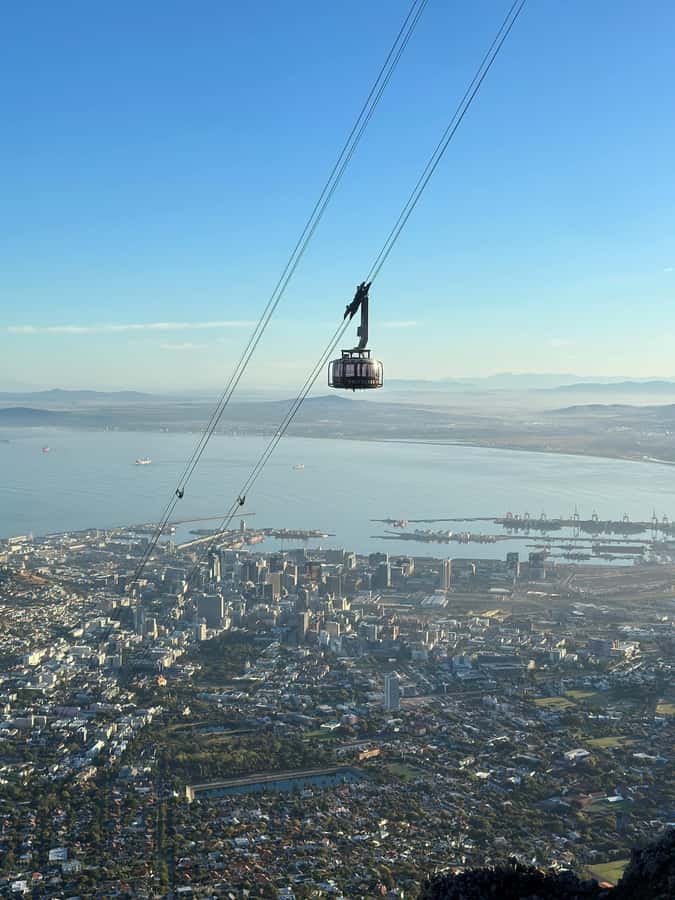 Table Mountain, Cape Of Good Hope, Penguins, Full Day Tour - Hout Bay and Seal Island option, the easy way to add marine wildlife