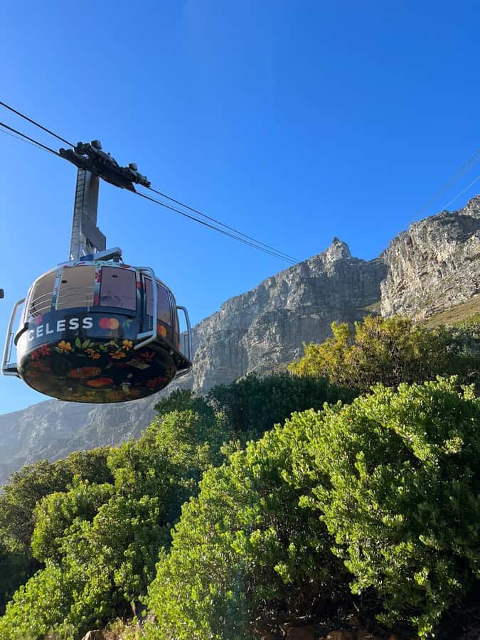 Table Mountain, Cape Of Good Hope, Penguins, Full Day Tour - Chapmans Peak to Simon’s Town, one of the prettiest roads in the area