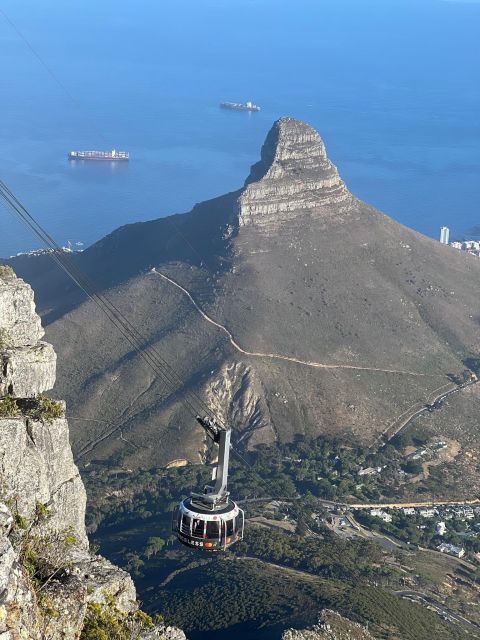 Table Mountain, Cape Of Good Hope, Penguins, Full Day Tour - Cape of Good Hope Nature Reserve, currents, Dias Cross, and wildlife spotting