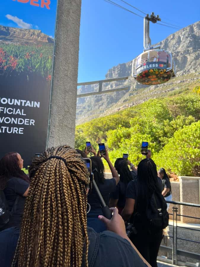 Table Mountain, Cape Of Good Hope, Penguins, Full Day Tour - Boulders Beach African penguins, the humane way to see them up close