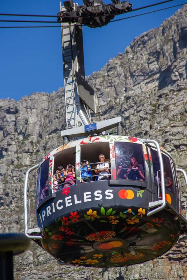 Table Mountain, Cape Of Good Hope, Penguins, Full Day Tour - Pickup and timing, why the day feels full but not chaotic