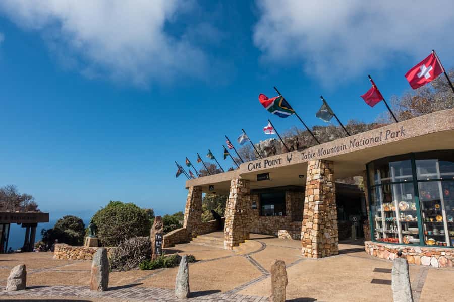 Table Mountain, Cape of Good Hope & Penguins Shared Tour - Key highlights in one shared day
