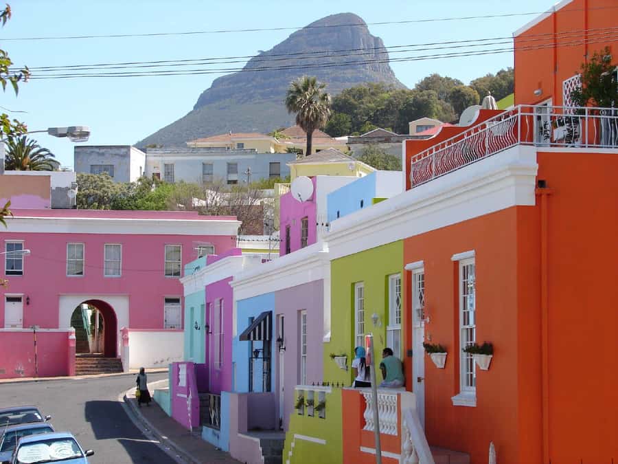 Table Mountain, Cape of Good Hope & Penguins Shared Tour - A tight Cape Peninsula circuit in one 9-hour shared day