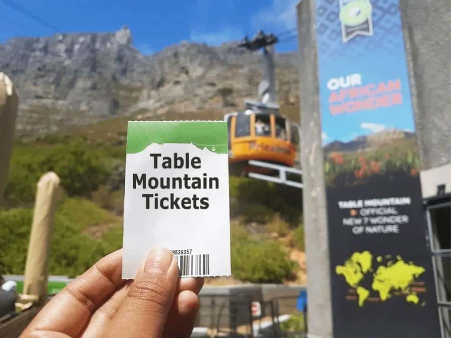 Table Mountain, Cape of Good Hope & Penguins Shared Tour - Boulders Beach boardwalk: watching African penguins without ruining the moment