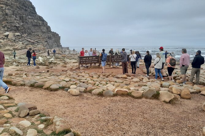 Table Mountain Cape Point Penguin Groot Constantia Private Tour - Key things you’ll notice on this tour