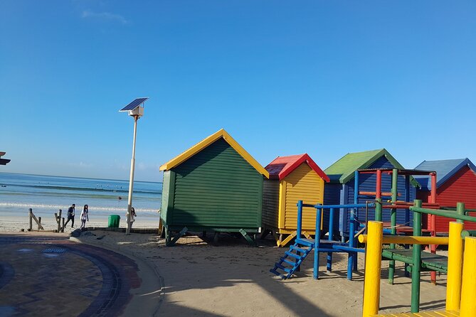 Table Mountain Cape Point Penguin Groot Constantia Private Tour - Table Mountain by Cable Car: Weather Rules and Time-Saving Advice